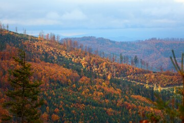 Beskids mountains in autumn in Poland