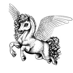 Sketch drawing of a flying pegasus on a white background.