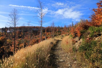 Autumn hike in Beskid Zywiecki, Poland