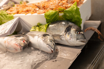 Fresh catch at the market: succulent, ocean-fresh fish, waiting to tantalize your taste buds. Dive into the finest flavors of the sea