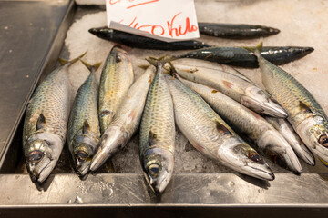 Fresh catch at the market: succulent, ocean-fresh fish, waiting to tantalize your taste buds. Dive into the finest flavors of the sea