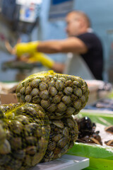 Mesh cockles stacked in a traditional market, ready for sale