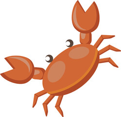 crab in summer