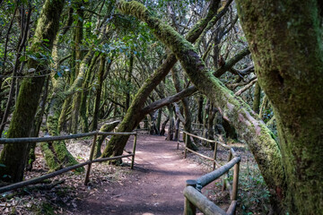 Fototapeta premium Views around La Gomera Island, The Caneries