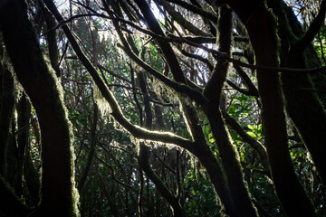 Views around La Gomera Island, The Caneries