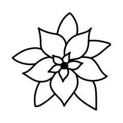 Naklejka premium Poinsettia flowers isolated icon on white background