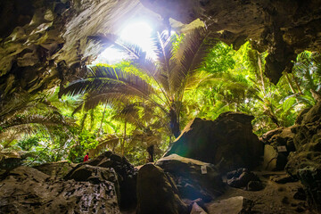 The trees landscape found in the cave known as Hup Pa Tat. Unseen in Thailand. 