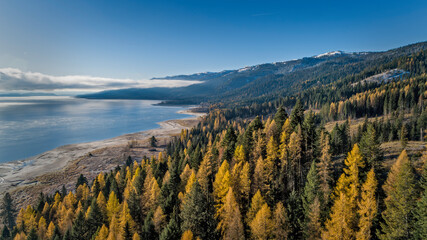 Aerial view of Tamarack pine trees in fall colors next to a blue mountain lake