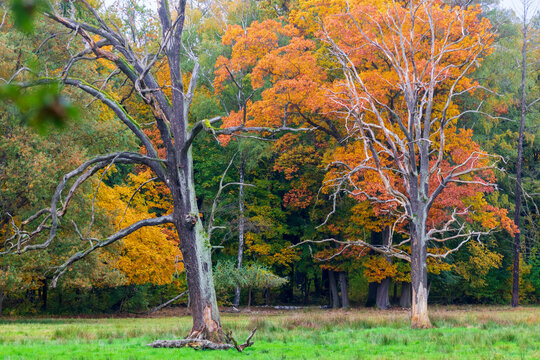 Lindenau Park