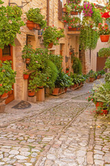 Floral streets in traditional italian medieval town of Spello, Perugia. Umbria region