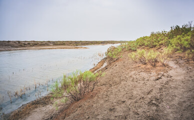 The Amudarya River flows along the bottom of the former sea in the desert on the site of the Dead Aral Sea