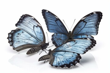 Three butterfly isolated on white background. Generative AI