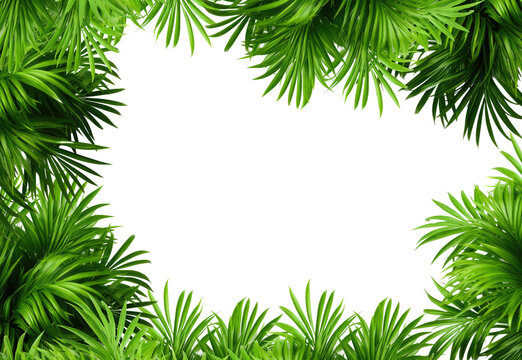 Tropical frame with green palm leaves. Tropical plant branches isolated on a transparent background. Summer banner template with border of coconut palm foliage. (PNG format)