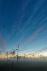 Fototapeta premium Moody and Beautiful August Night in Northern Finland. Beautiful and Colorful Night Sky with Some Clouds