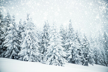 magical frozen winter landscape with snow covered fir trees