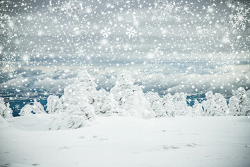 Fototapeta na wymiar magical frozen winter landscape with snow covered fir trees