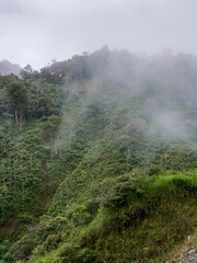 Montañas de Panamá, recurso hídrico, fauna y flora importante 