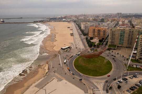 Anemona em Matosinhos