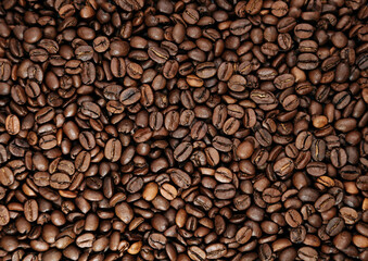 Roasted coffee beans