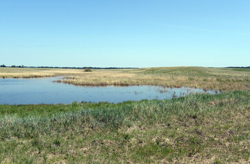 A small lake in the forest-steppe part of the Altai Territory