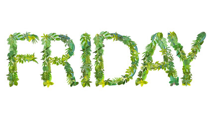 FRIDAY, word or text made from various kinds of leaves isolated on transparent background, PNG, suitable for template design 