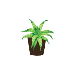 aloe vera vector type icon