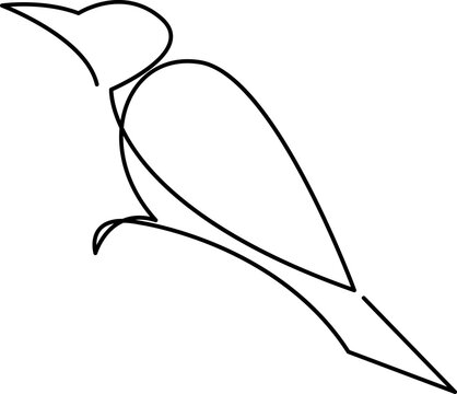 recommend clip art: One line bird design silhouette. Hand drawn minimalism style vector illustration.