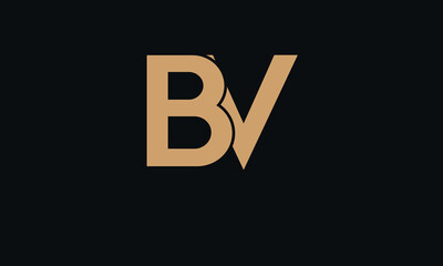 BV, VB, V, B, Abstract Letters Logo Monogram