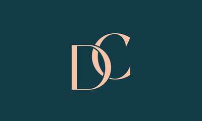 initial DC letter D technology IT combination D