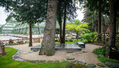 Japanese garden in Vienna:with Japanese maple and red maple