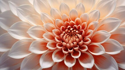 A macro shot of the intricate center of a Diamond Dahlia, its details and textures captured in high...