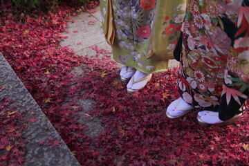 着物を着た女性の足元と紅葉