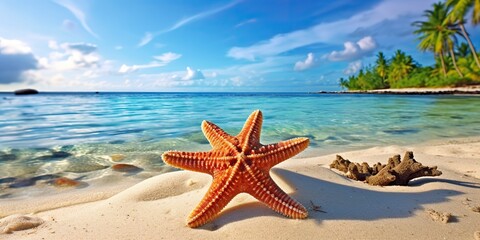 Fototapeta na wymiar AI Generated. AI Generative. Sea ocean sand beach island background with starfish decoration. Graphic Art