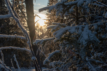 Winter landscape of the town of Jukkasjarvi, Sweden. Situated in the north of Sweden in Kiruna municipality.