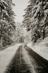 Winterlicher Schneespaziergang im Schwarzwald am Mummelsee