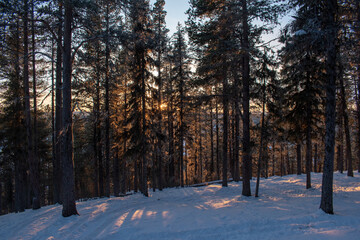 Winter landscape of the town of Jukkasjarvi, Sweden. Situated in the north of Sweden in Kiruna municipality.