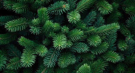 Christmas Tree Pine: Festive Background with Sparkling Decorations and Winter Magic