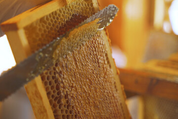 The beekeeper using a knife prints honeycombs with nesting frames.