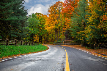 road in autumn forest - 670168352