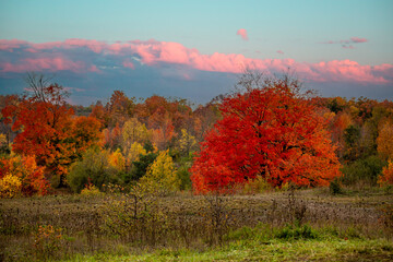 autumn landscape in the autumn - 670168581