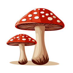 fly agaric isolated on white svg