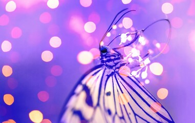 background with butterflies