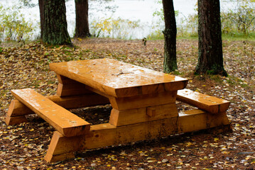 .a wet bench with a table covered in leaves in an outdoor park on a gray autumn day