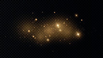 Fototapeta na wymiar The dust sparks and golden stars shine with special light. Vector sparkles on a transparent background. Christmas light effect. Sparkling magical dust particles. PNG