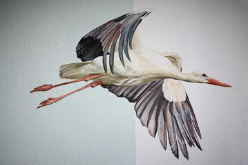 Mural graffiti at a high-rise skyscraper building in Langen, Hesse with painted flying stork in sky in silicate paint