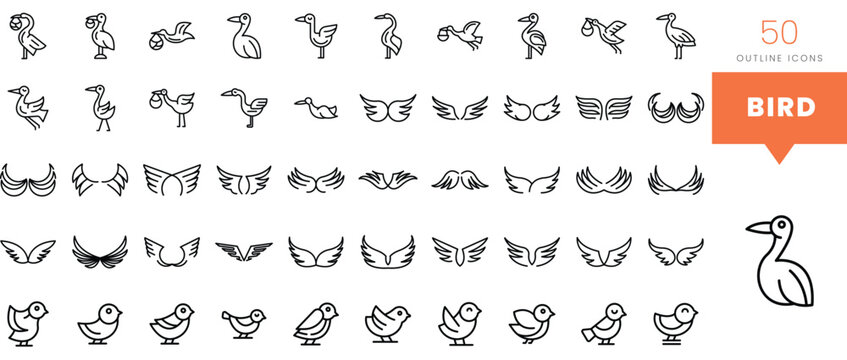 Set of minimalist linear bird icons. Vector illustration