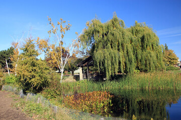Fall landscape with colorful trees