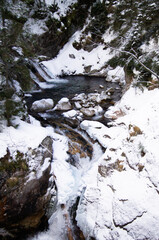 Fototapeta na wymiar A pristine winter scene in the High Tatras of Poland. Glistening water flows amidst a snowy landscape, cascading over rocks and boulders. Snow-covered trees border the stream, their branches laden