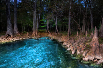 Mermaid Springs (AKA Johnathan Springs) on the Santa Fe River, Columbia County, Florida