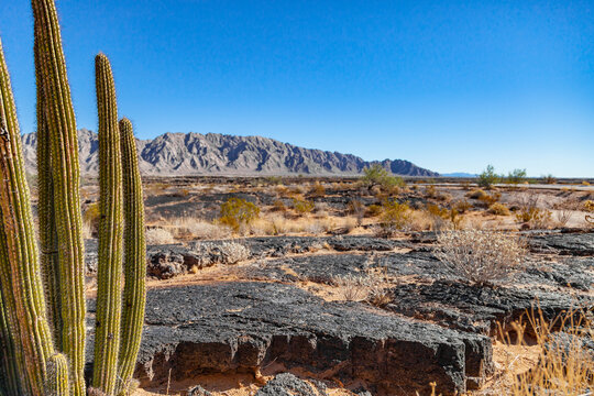 Reserva de la biosfera el Pinacate en Sonora, M&eacute;xico